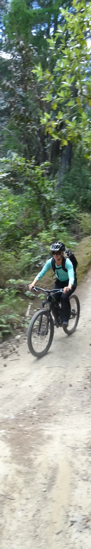 Bikepark in Queenstown